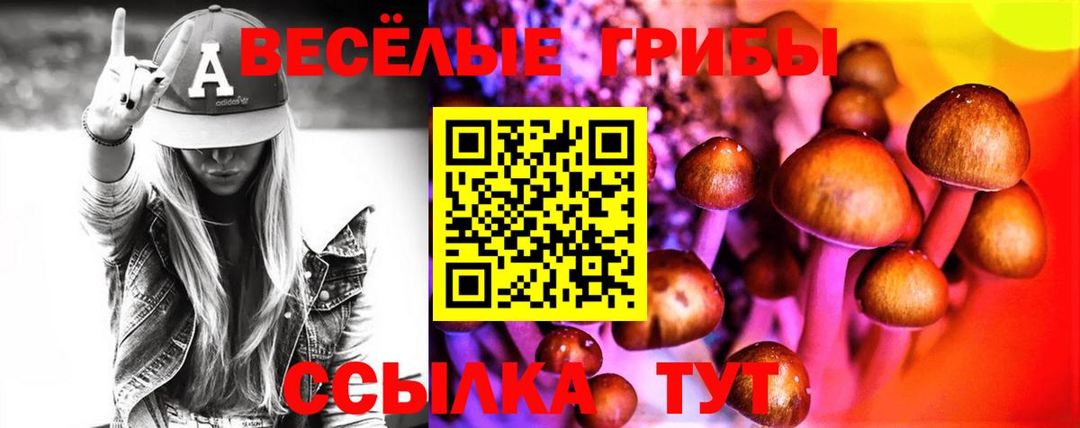 Галлюциногенные грибы Cubensis  Вход с VPN  где купить наркоту  Касимов 