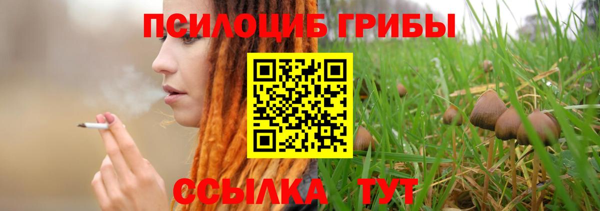 Псилоцибиновые грибы Magic Shrooms Касимов